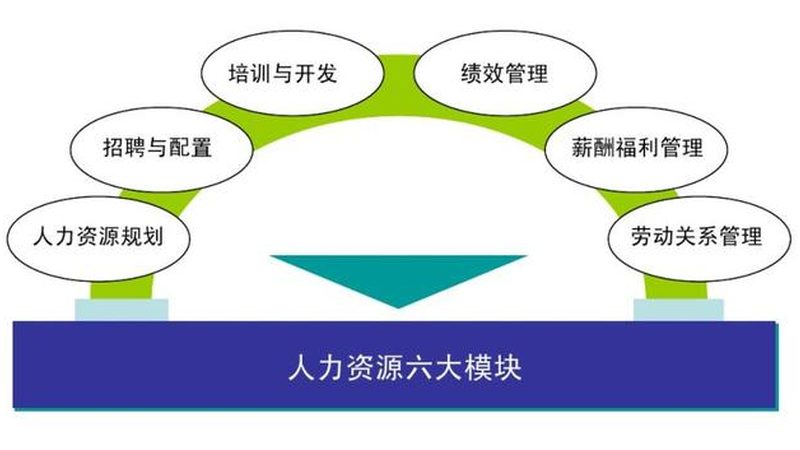 人才测评报告：企业识人用人的“慧眼