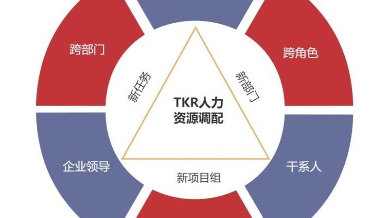 岗位外包：企业降本增效的新选择？**